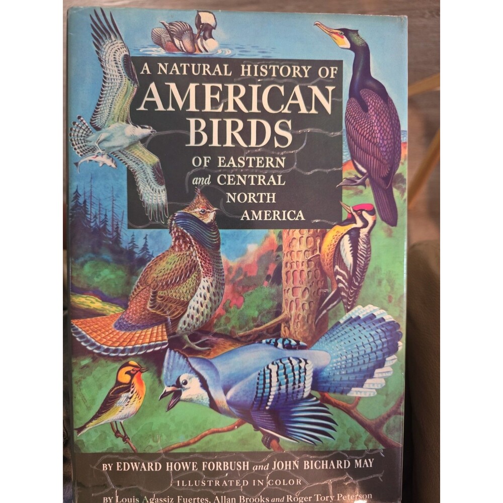 A Natural History Of American Birds Of Eastern & Central North America 1955 HCDJ